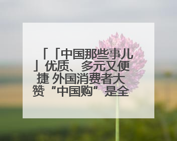 「中国那些事儿」优质、多元又便捷 外国消费者大赞“中国购”是全新体验！