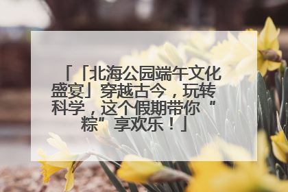 「北海公园端午文化盛宴」穿越古今，玩转科学，这个假期带你“粽”享欢乐！