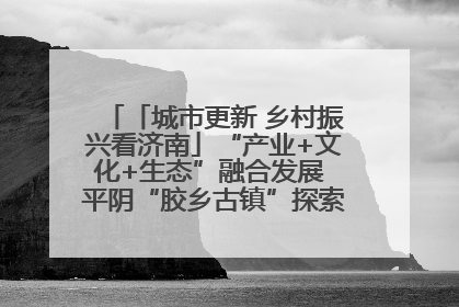 「城市更新 乡村振兴看济南」“产业+文化+生态”融合发展 平阴“胶乡古镇”探索振兴路径成效显著