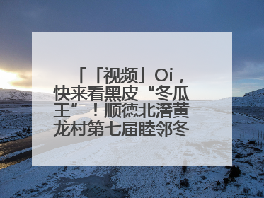 「视频」Oi，快来看黑皮“冬瓜王”！顺德北滘黄龙村第七届睦邻冬瓜文化节开幕