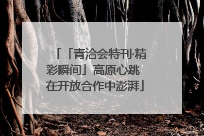 「青洽会特刊·精彩瞬间」高原心跳 在开放合作中澎湃