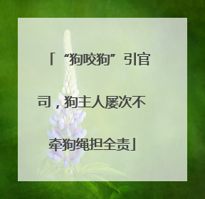 “狗咬狗”引官司，狗主人屡次不牵狗绳担全责