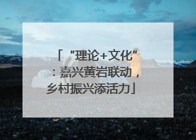 “理论+文化”：嘉兴黄岩联动，乡村振兴添活力