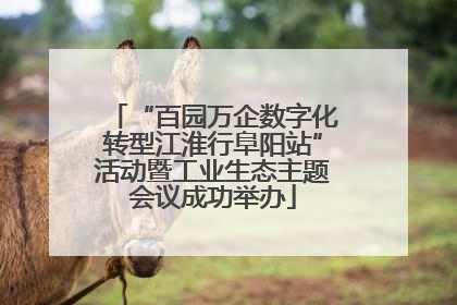 “百园万企数字化转型江淮行阜阳站”活动暨工业生态主题会议成功举办