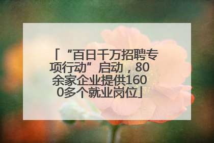 “百日千万招聘专项行动”启动，80余家企业提供1600多个就业岗位