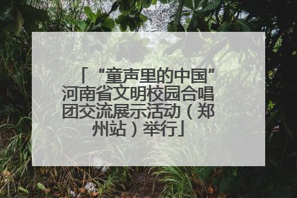 “童声里的中国”河南省文明校园合唱团交流展示活动（郑州站）举行