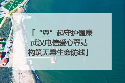“翼”起守护健康 武汉电信爱心翼站构筑无毒生命防线