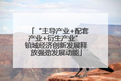 “主导产业+配套产业+衍生产业” 镇域经济创新发展释放强劲发展动能