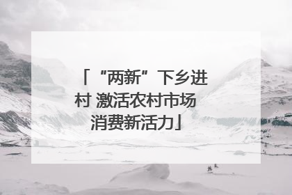 “两新”下乡进村 激活农村市场消费新活力