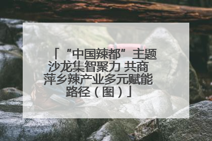 “中国辣都”主题沙龙集智聚力 共商萍乡辣产业多元赋能路径（图）
