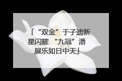 “双金”于子迪新星闪耀 “九冠”潘展乐如日中天