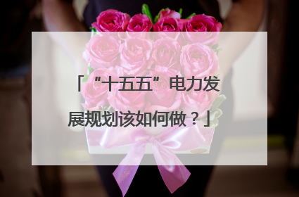 “十五五”电力发展规划该如何做？