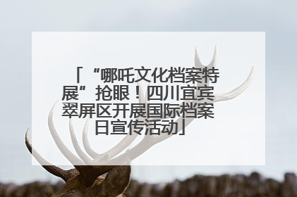 “哪吒文化档案特展”抢眼！四川宜宾翠屏区开展国际档案日宣传活动