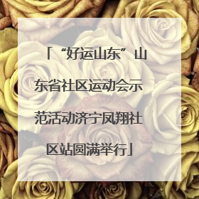 “好运山东”山东省社区运动会示范活动济宁凤翔社区站圆满举行