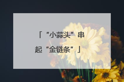 “小蒜头”串起“金链条”