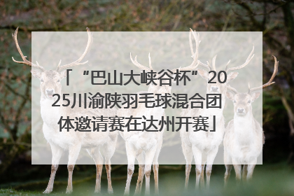 “巴山大峡谷杯”2025川渝陕羽毛球混合团体邀请赛在达州开赛