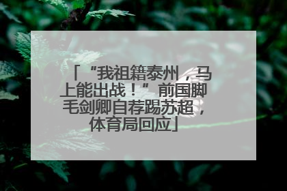 “我祖籍泰州，马上能出战！”前国脚毛剑卿自荐踢苏超，体育局回应