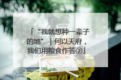 “我就想种一辈子的地”｜何以天府，我们用粮食作答②