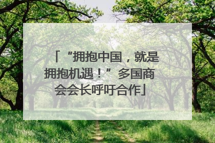 “拥抱中国，就是拥抱机遇！”多国商会会长呼吁合作