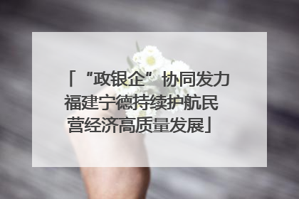 “政银企”协同发力 福建宁德持续护航民营经济高质量发展