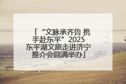 “文脉承齐鲁 携手赴东平”2025东平湖文旅走进济宁推介会圆满举办