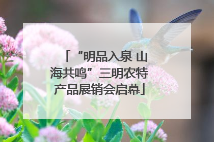 “明品入泉 山海共鸣”三明农特产品展销会启幕