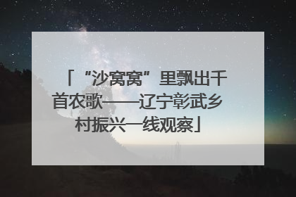 “沙窝窝”里飘出千首农歌——辽宁彰武乡村振兴一线观察
