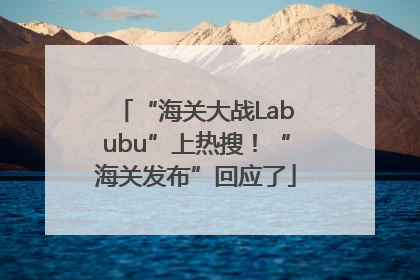 “海关大战Labubu”上热搜！“海关发布”回应了