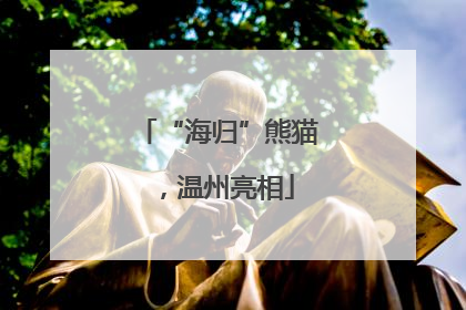 “海归”熊猫，温州亮相