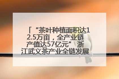 “茶叶种植面积达12.5万亩，全产业链产值达57亿元” 浙江武义茶产业全链发展“加速度”