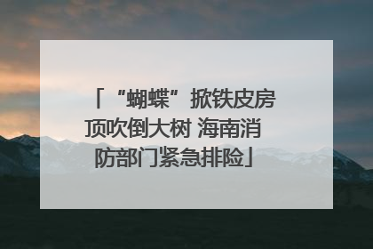 “蝴蝶”掀铁皮房顶吹倒大树 海南消防部门紧急排险