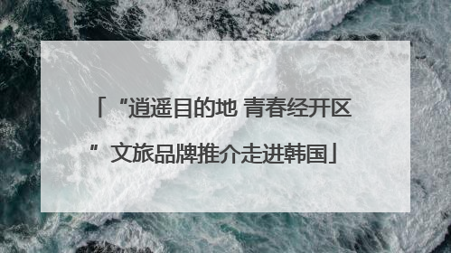 “逍遥目的地 青春经开区”文旅品牌推介走进韩国