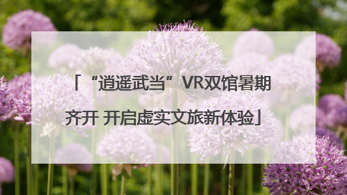 “逍遥武当”VR双馆暑期齐开 开启虚实文旅新体验