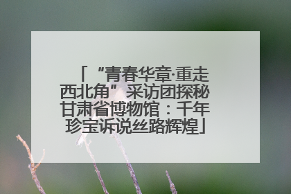 “青春华章·重走西北角”采访团探秘甘肃省博物馆：千年珍宝诉说丝路辉煌