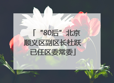 “80后”北京顺义区副区长杜跃已任区委常委