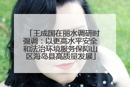 王成国在丽水调研时强调：以更高水平安全和法治环境服务保障山区海岛县高质量发展