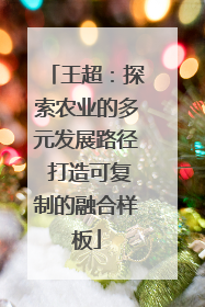 王超：探索农业的多元发展路径 打造可复制的融合样板