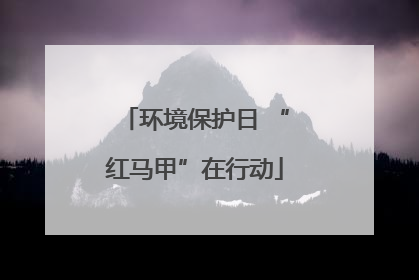 环境保护日 “红马甲”在行动