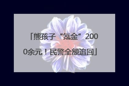 熊孩子“氪金”2000余元！民警全额追回