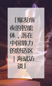 爆发前夜的智能体，落在中国算力的舒适区｜海斌访谈