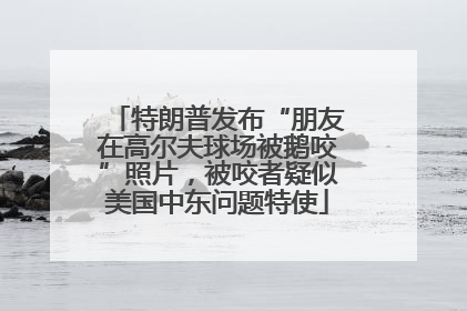 特朗普发布“朋友在高尔夫球场被鹅咬”照片，被咬者疑似美国中东问题特使