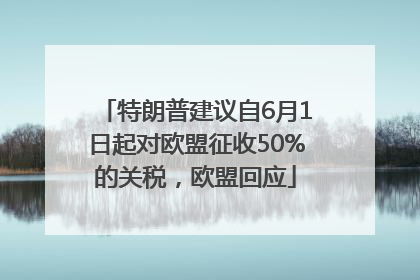 特朗普建议自6月1日起对欧盟征收50%的关税，欧盟回应