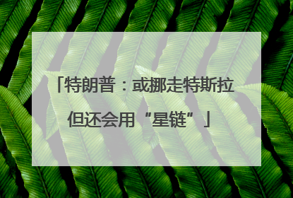 特朗普：或挪走特斯拉 但还会用“星链”