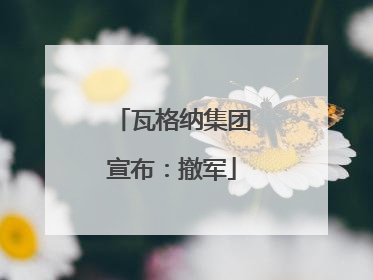 瓦格纳集团宣布：撤军