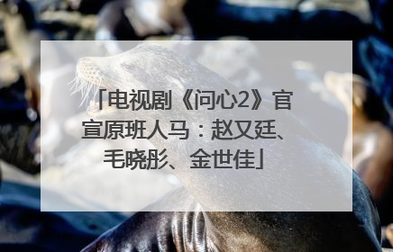 电视剧《问心2》官宣原班人马：赵又廷、毛晓彤、金世佳