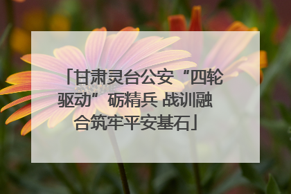 甘肃灵台公安“四轮驱动”砺精兵 战训融合筑牢平安基石