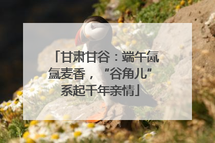 甘肃甘谷：端午氤氲麦香，“谷角儿”系起千年亲情