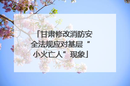 甘肃修改消防安全法规应对基层“小火亡人”现象