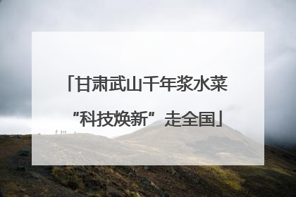 甘肃武山千年浆水菜“科技焕新”走全国