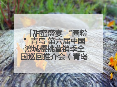 甜蜜盛宴 “圈粉”青岛 第六届中国·澄城樱桃营销季全国巡回推介会（青岛站）成功举办